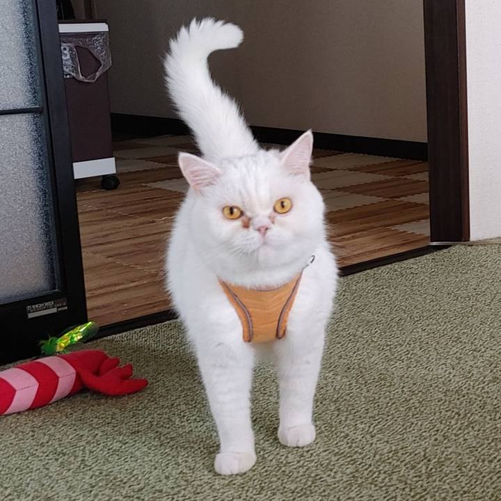 9685bc13 08fa 4de6 93a0 98f19945b303 1656027701806