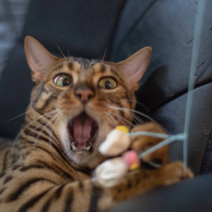 9685d2c0 da3d 40c4 81d6 e7ae0b56b0ba 1530796470110