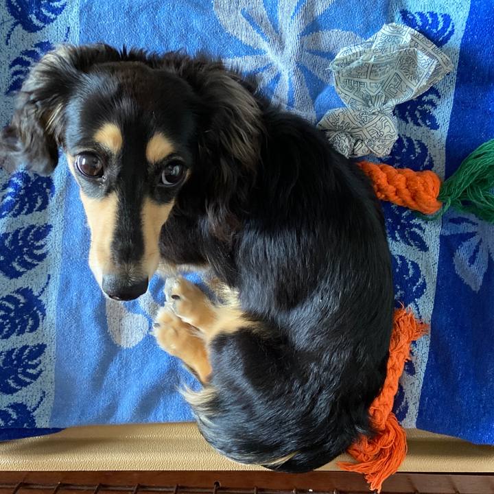 96863111 b704 4696 96ec e42d79107908 1686888310288