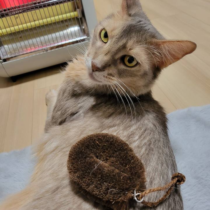 968644e3 6f86 42f1 8af1 8adf7c915494 1642159813762