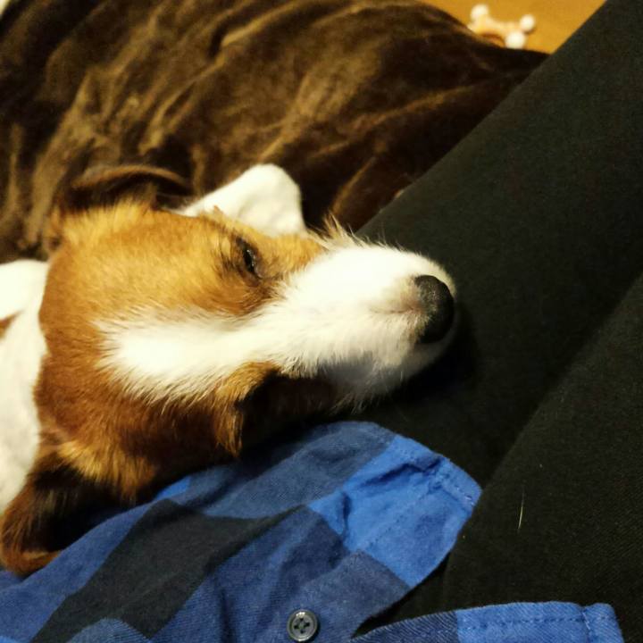 96864859 3f93 4a3d b1cb 3715ca676dd2 1513858434035