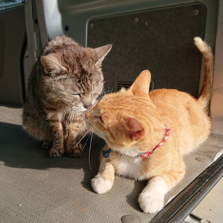 96867125 2eb0 42bb 9982 a41d12beabdc 1560808140379