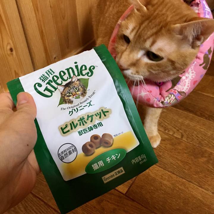 9686790d b760 43ee 91aa 1aa0732b89f2 1518699382490