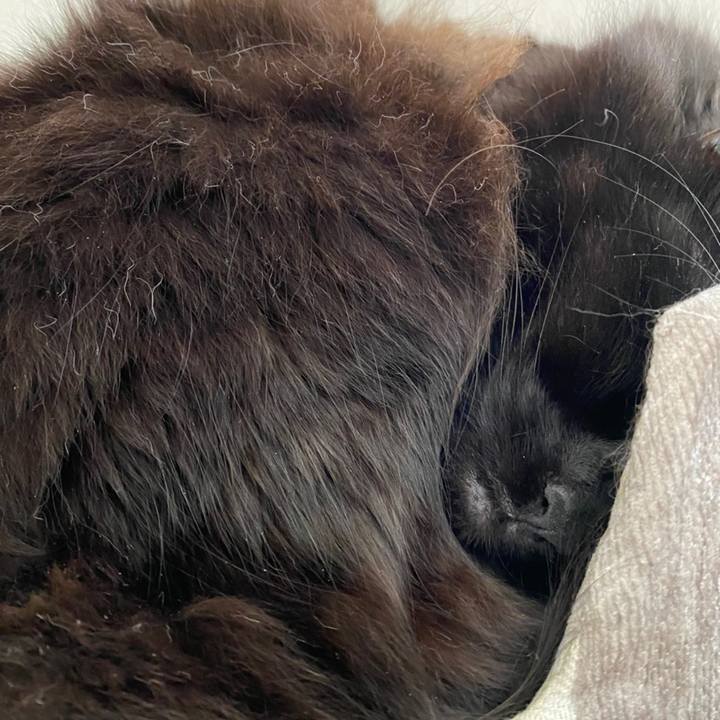 968694f7 40a6 4c01 9939 7ebbd7c3b6de 1613631854106