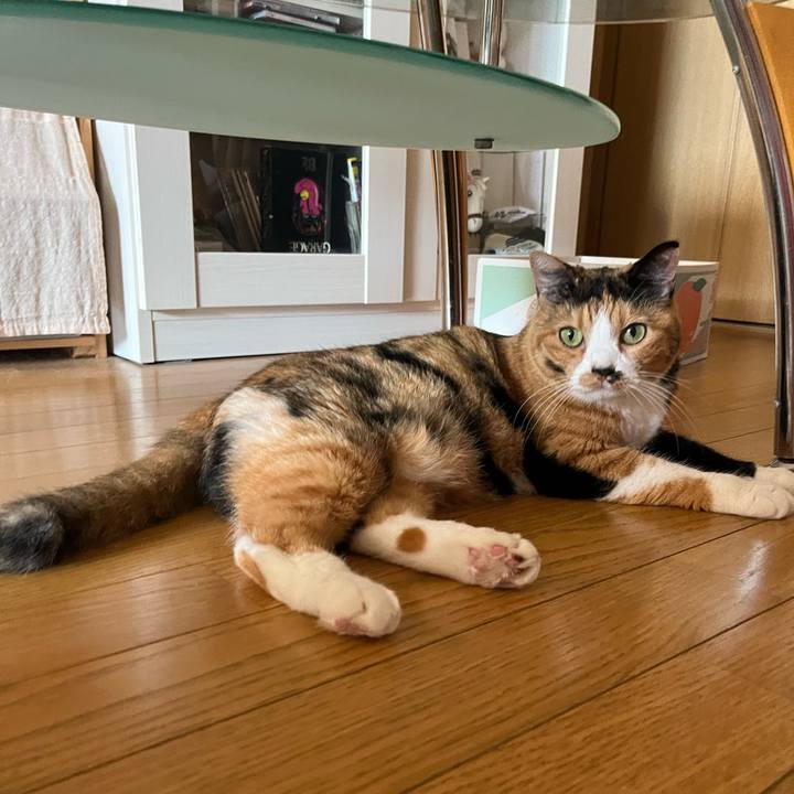 9686aab3 e98f 48c8 85f0 e9c9e6434bd3 1659168484638