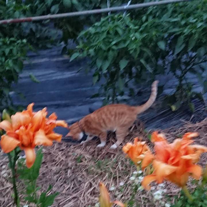 9686d199 1226 4ac9 8ac8 84d4af6e3517 1564136665602