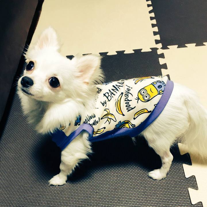 9686f5ea 8d3d 4a58 a7ee 62233c93c620 1510413253731