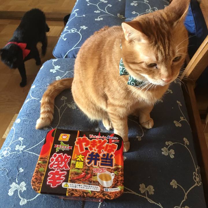 9686f87c 1cbd 4379 a165 fa1e93c2ffed 1550963947176