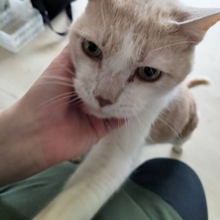 96878359 caa7 4f8e 9e76 460dce8a95b3 1682290001031