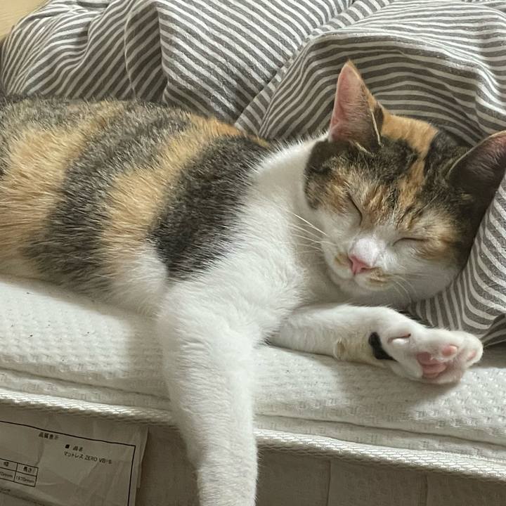 9687a384 4208 4e28 9ff9 678e0aab6506 1782212800102