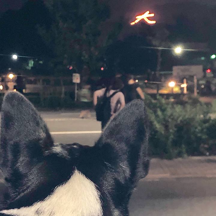 9687cdf8 1aa4 43bb 826b db75d711a6d7 1566001959027