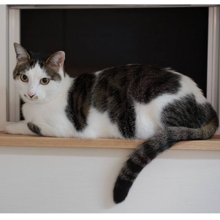 968816b5 0259 4727 9686 6a56bb595d53 1556236300415