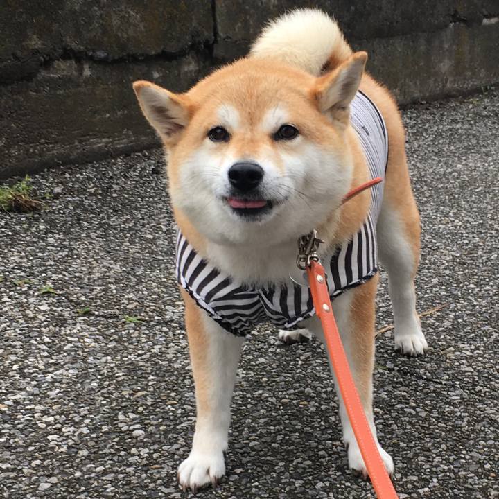 96882b90 c6e1 4227 b6ed e02cee81208c 1561863996658