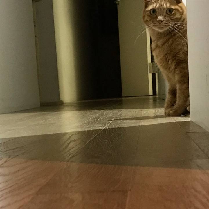 96883bf9 189c 4c7c b93b b1854f4aa209 1508924467659