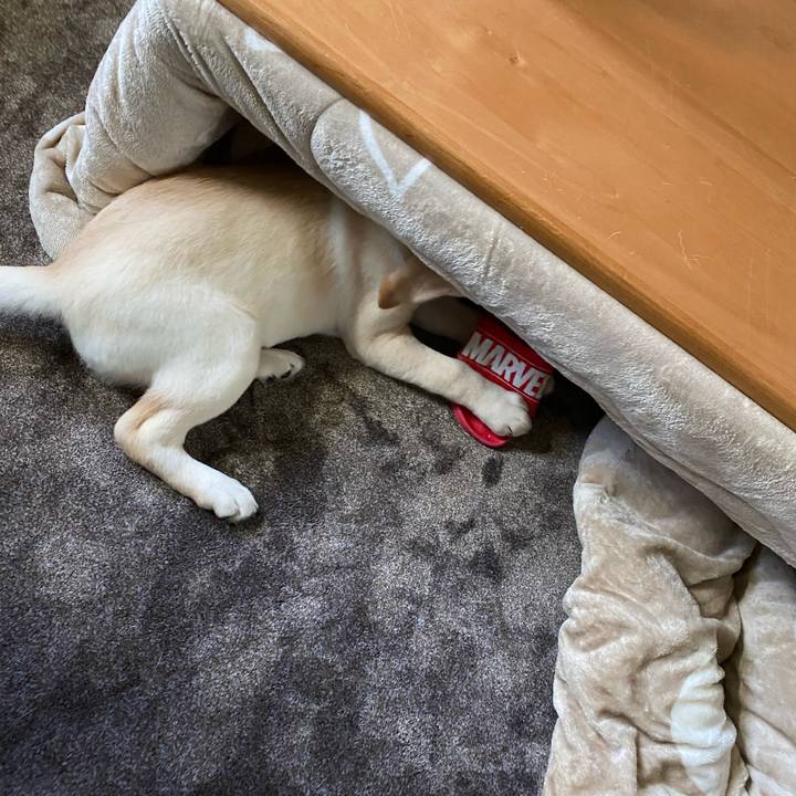 96884379 bd41 493f bbde 6bebdc580728 1613193086989