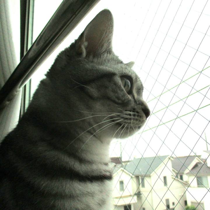 968874f6 3317 467a b9ac 1d0f15231165 1561854968414