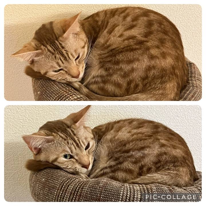 968877b8 7067 49c3 989b a6815d54d7b6 1674565493809