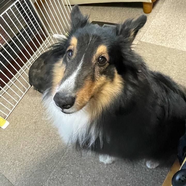 968896c3 7198 45a1 a5c3 9ce4dd63be19 1612821074993