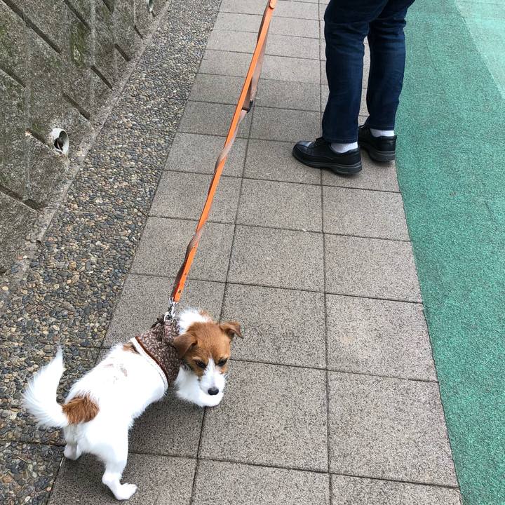 968897d5 51a6 4673 87f4 a495d47efa2e 1521372842447