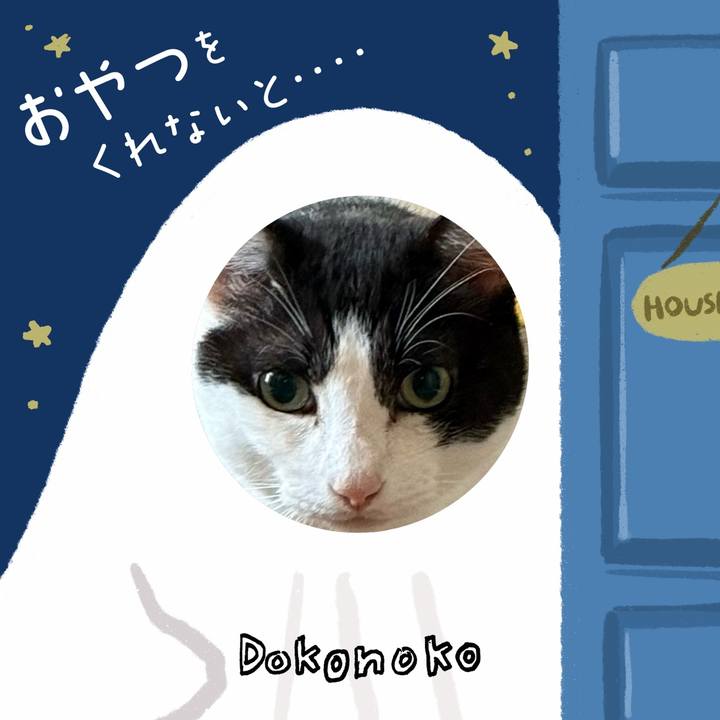 9688afae f297 4d0d 836f 7c9bab712489 1729212548551