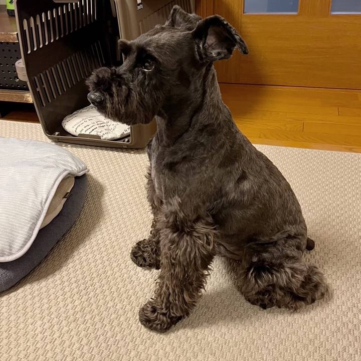 9688e57f bec6 462d 9c7f 73dabb0c88d1 1750153640821