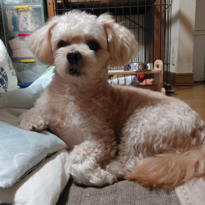 9688f359 691f 472c a4fa 79fd9a23ee5f 1632207653293