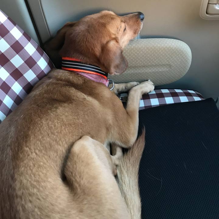 9688f4a8 1ee0 4ec6 9da4 7f8c034a44c3 1511086984268