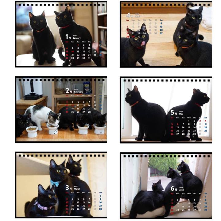 96890964 1bd3 47b8 bed2 055afdea546d 1540624341917