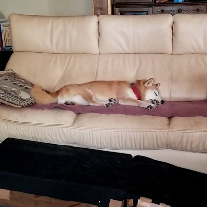 96893495 7b13 47bf b5a0 9816208240d2 1758088193598