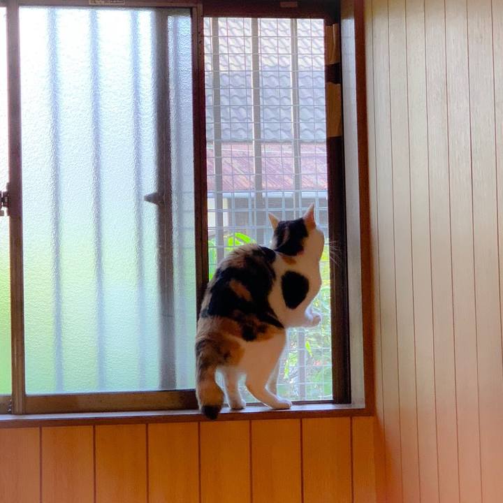 968938a5 2050 45ae 9022 c202ad158e5a 1560045325401