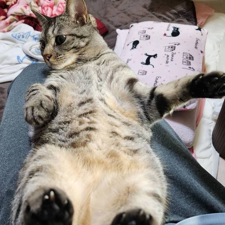 968959af 4af3 4f72 89a7 9441f5a771d9 1722567575576