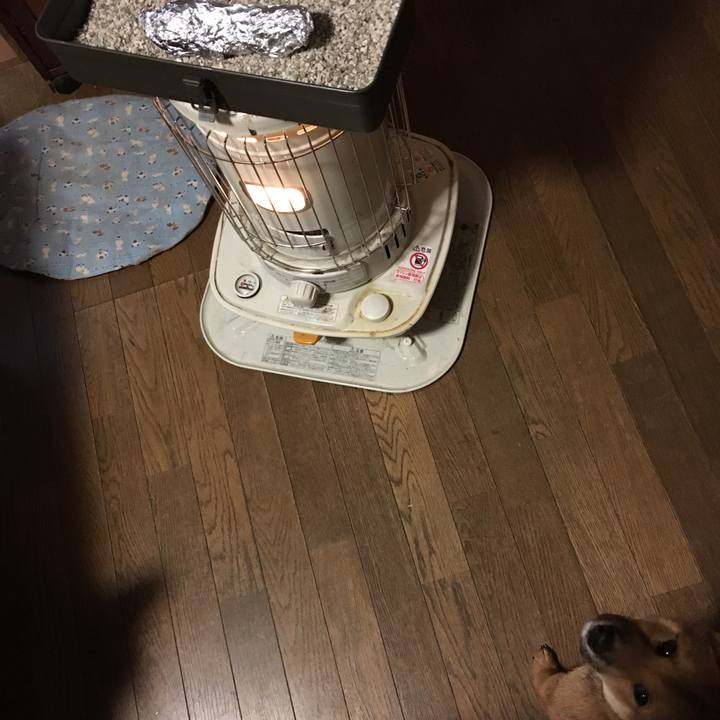 96896c65 60dd 4eb7 b4d3 a69d926ce2cb 1509876439007