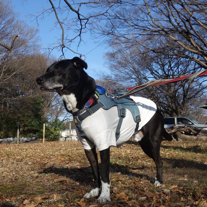 96899462 c14f 4faa b602 2b6d480ea877 1707701778268