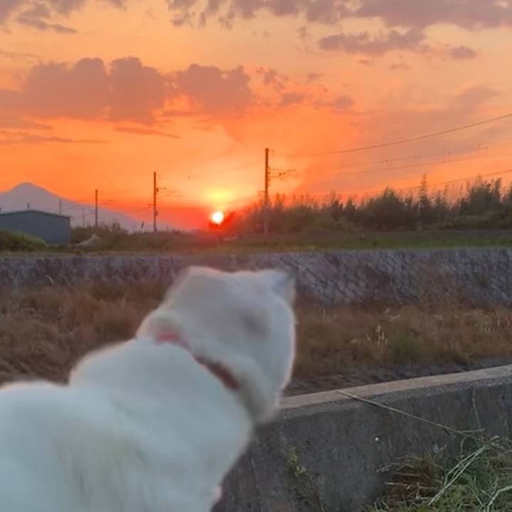 96899475 7a25 4691 bbbf ac598f348403 1557661557704