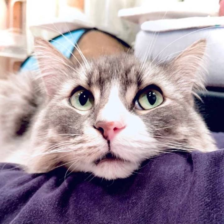 96899b7a c6be 45fd 906c d7c9dd187269 1632848929979