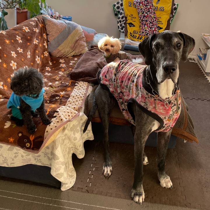 9689a25a b72b 4d7a 8813 065f72577c0b 1612737193891