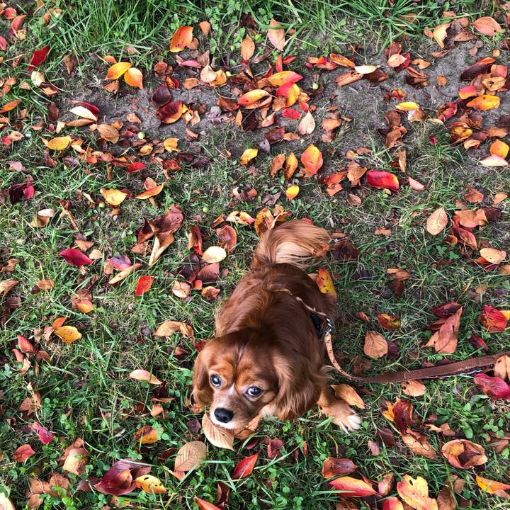 9689dddb d03b 4dba 926f c67f13dc48c9 1604191310597