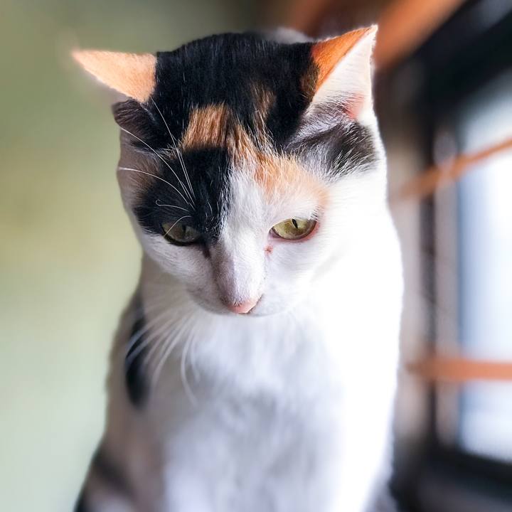 9689efa7 2beb 4b30 8603 e6435466180f 1509169822947