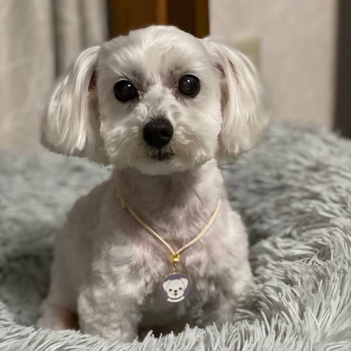 9689fa25 18f4 4b0d a6d4 80f04edd6dfd 1669446658873