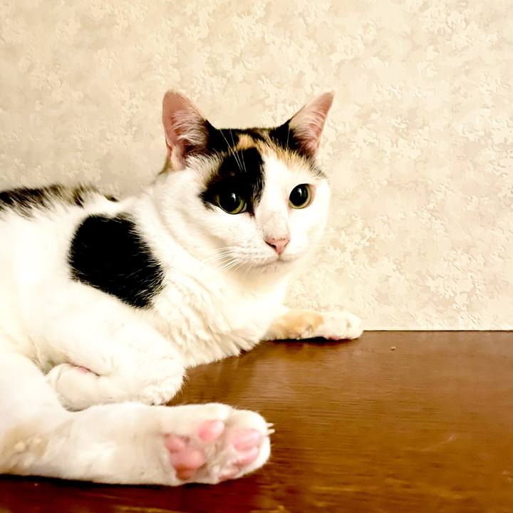 968a1092 c4b3 4a74 9be5 2aef13d9f6eb 1628390866202