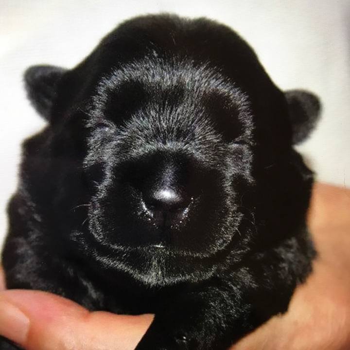 968a1446 73cb 4ea3 8ac2 3c81a1757452 1534682261628