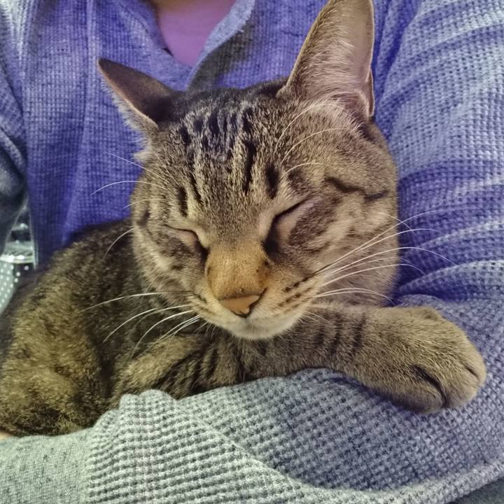 968a18b7 94de 46d0 8105 874029c45cef 1577677579726