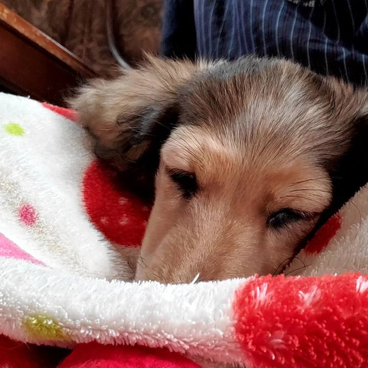 968a2878 a4f2 4ab8 b462 6fc4a292a4a7 1761181645534