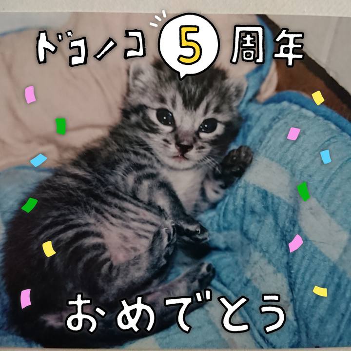 968a3176 c0b5 4af4 a6b6 f86362aef9eb 1622888757692