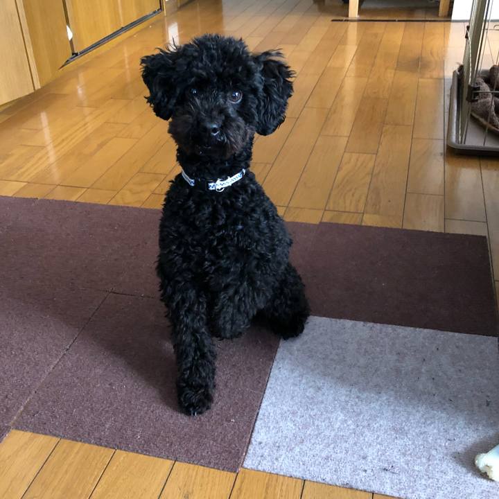 968a4413 91c2 4650 8325 182a4d05150e 1515052869402