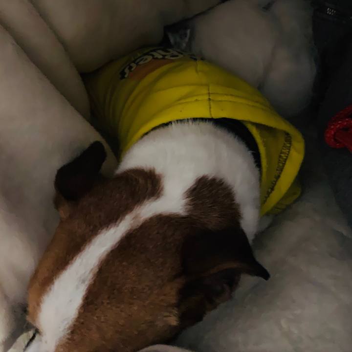 968a5916 e53f 4cc3 a7c3 b4968566184d 1553351356076