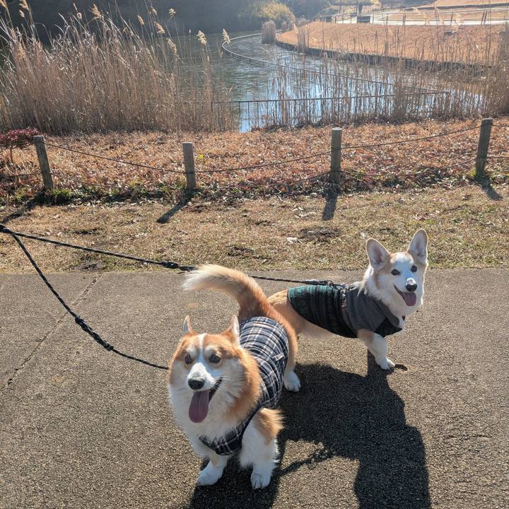 968a6504 98ff 46d1 b13a 410d5f5eacc7 1767862851690