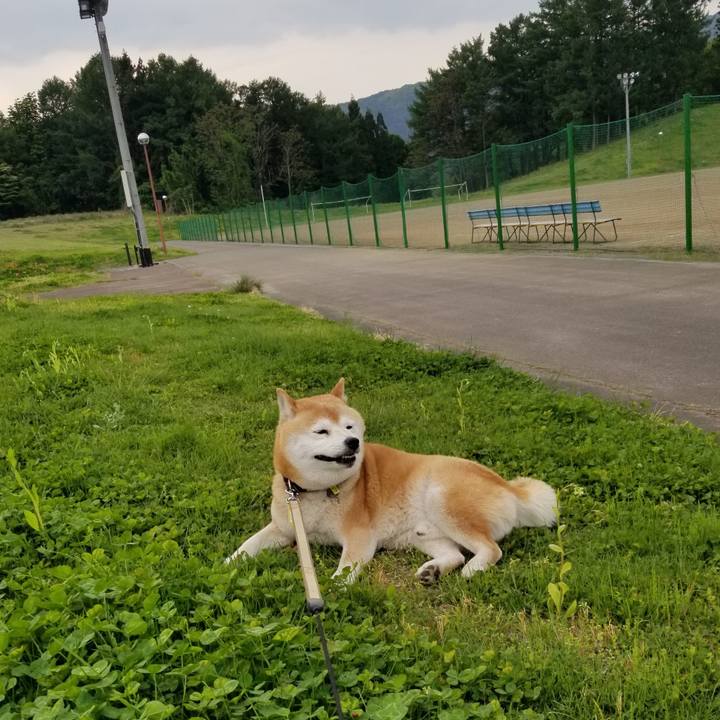 968a7959 0263 45eb a2fb ae3175ed917e 1652945661101