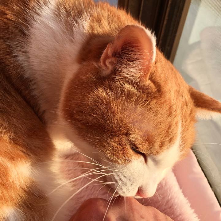 968a8b01 92bc 4237 b126 595480ed0b13 1574139713363