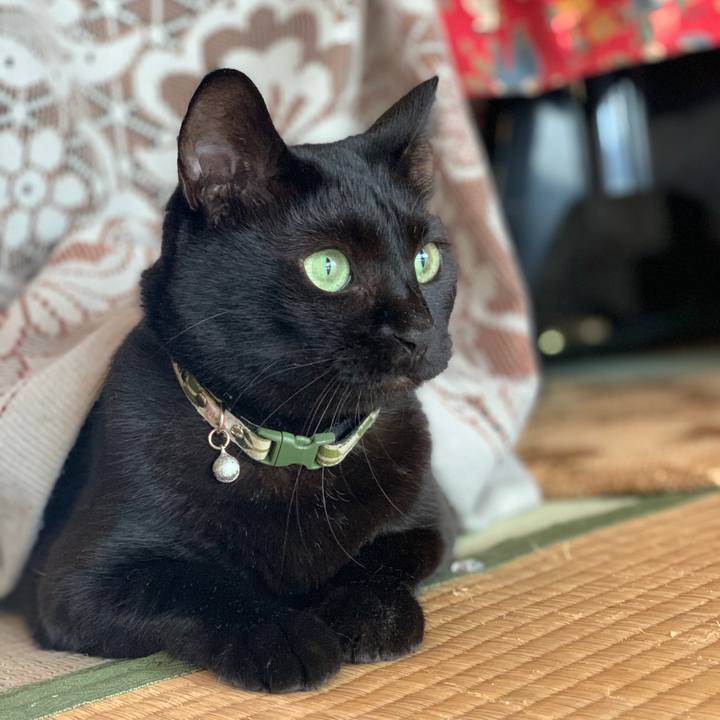 968ab63f 2f3c 4fef 8f43 1217b0b81654 1571101608576